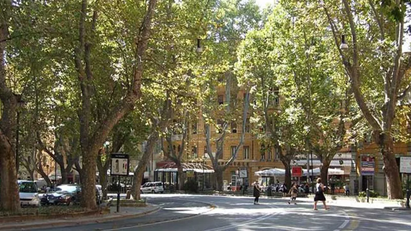 Alman turist elektrikli skuter ile tarihi eser taşırken yakalandı