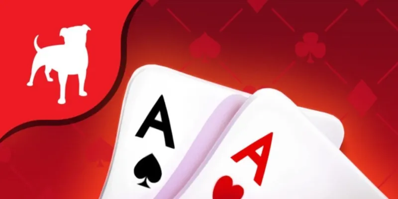 Zynga Poker'e Şok Yasak! Kumar mı, Eğlence mi?