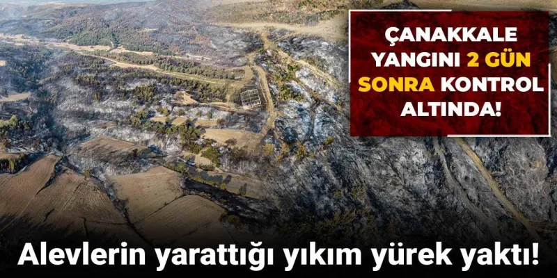 Çanakkale yangını 2 gün sonra kontrol altında! Alevlerin yarattığı yıkım yürek yaktı