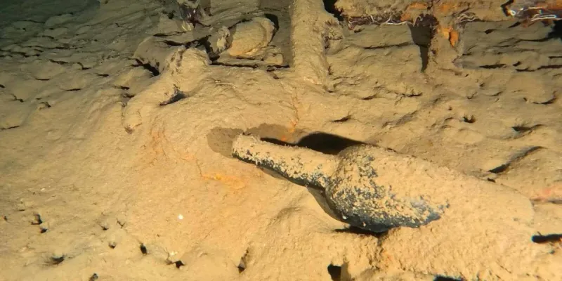 Çanakkale'de 110 Yıllık Şarap Şişesi Bulundu! Sırrı Ne?