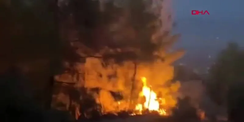 Hatay'da Orman Yangını Alarmı! Yıldırım mı Sebep Oldu?