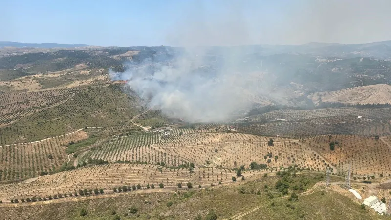 İzmir'de Korkutan Orman Yangını! Alevler Kontrol Altında mı?