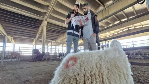Kurban satıcılarına ‘sahte para’ uyarısı