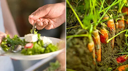 Salatanız topraktan vücudunuza mikroplastik taşıyor olabilir