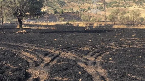 Şırnak'ta Korkunç Yangın! 50 Dönüm Buğday Tarlası Kül Oldu