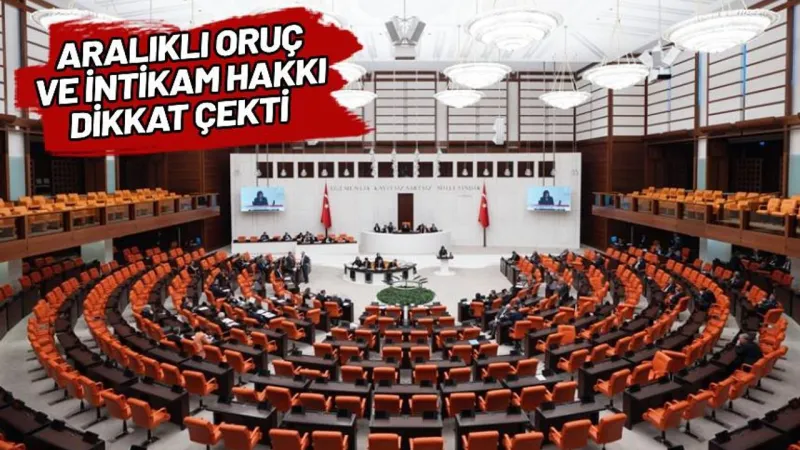 TBMM'ye Şaşırtan Dilekçeler: İntikam Hakkı İsteyen Bile Var!