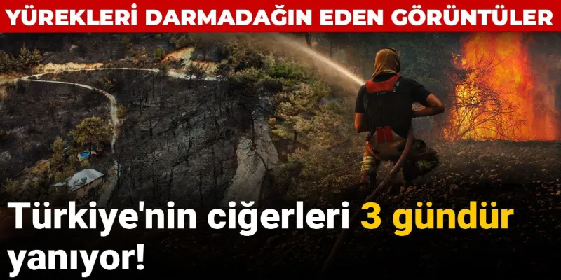 Türkiye Yanıyor! Hatay, İzmir, Manisa'da Korkunç Orman Yangınları