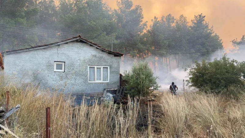 Yangınlardan etkilenen hanelere 10 milyon lira kaynak aktarıldı