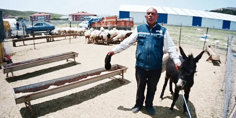 Yozgatlı Besicilerin Kurbanlık Hayvanları Elde Mi Kaldı? Şok İddia!